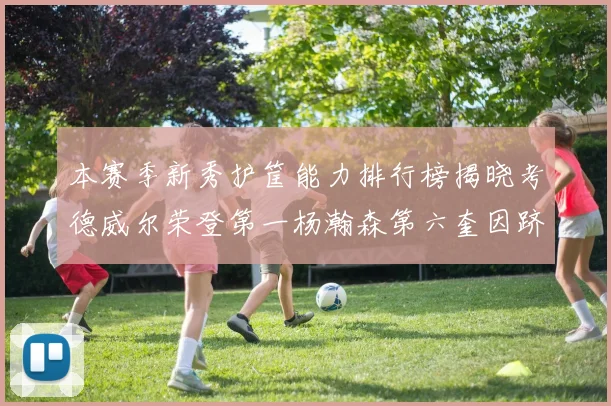 本赛季新秀护筐能力排行榜揭晓考德威尔荣登第一杨瀚森第六奎因跻身前十