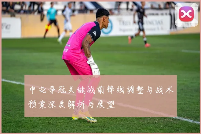 申花争冠关键战前锋线调整与战术预案深度解析与展望