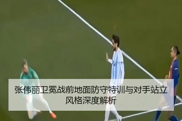 张伟丽卫冕战前地面防守特训与对手站立风格深度解析